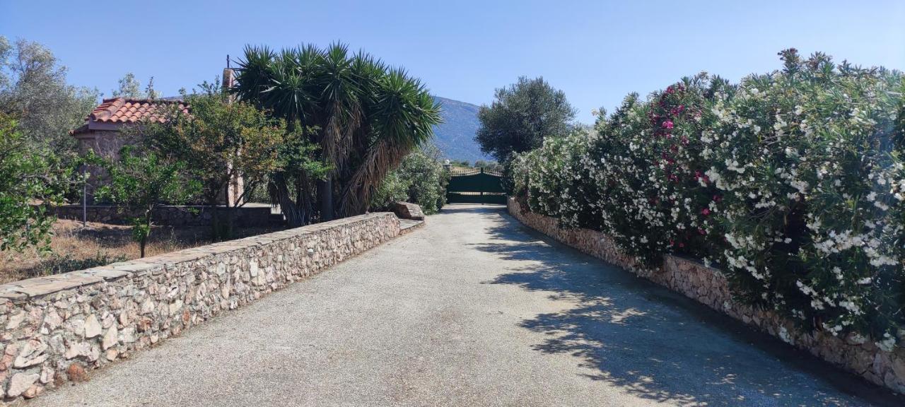 Ellie's Stonehouse Gianapa, Porto Rafti, Greece, 190 03, Gr